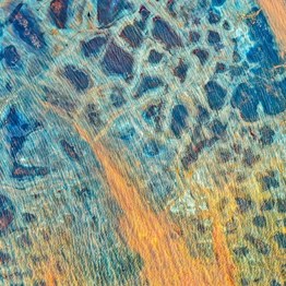 CNDM. Mario Brunello