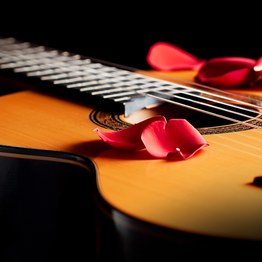 Excelentia. Noche Española: Concierto de Aranjuez