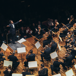 Impacta. Novena Sinfonía de Beethoven