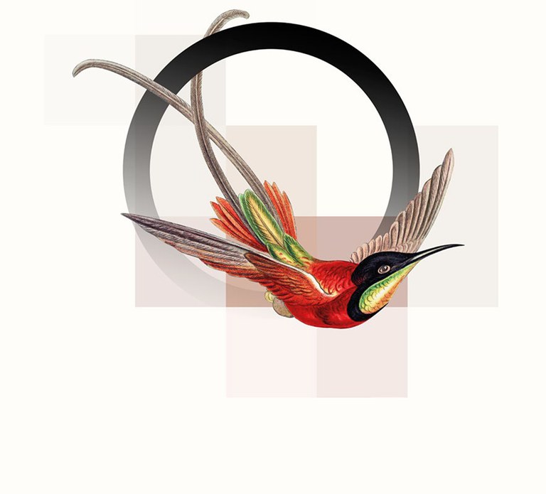 ORCAM. Sinfónico I.